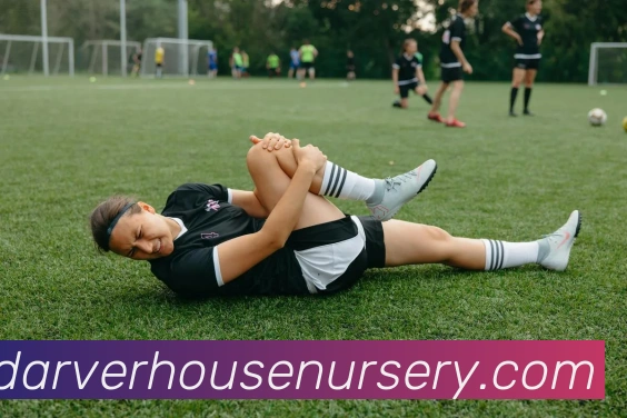 App 示例图