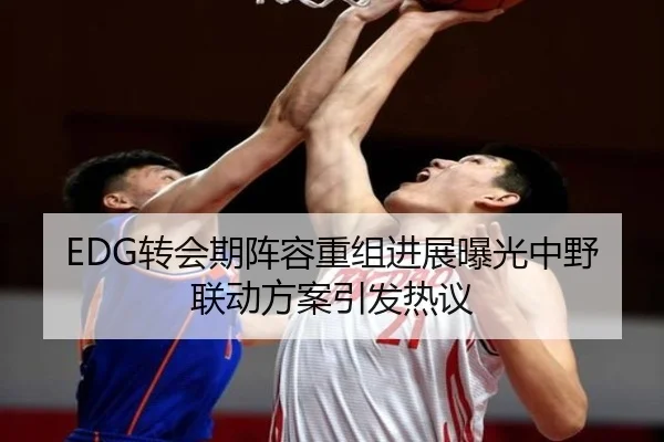 EDG转会期阵容重组进展曝光中野联动方案引发热议